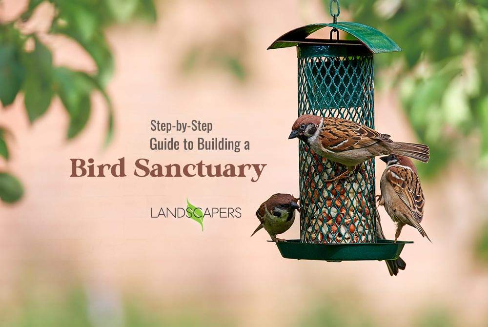 Building a Bird Sanctuary