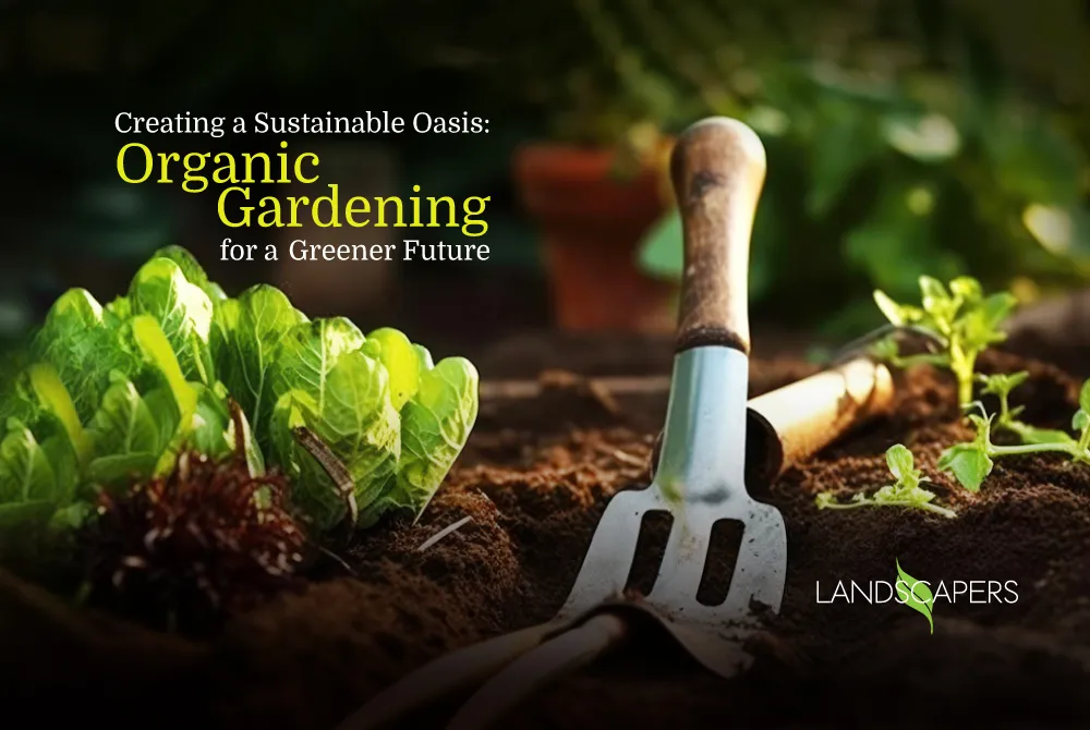 Organic Gardening for a Greener Future