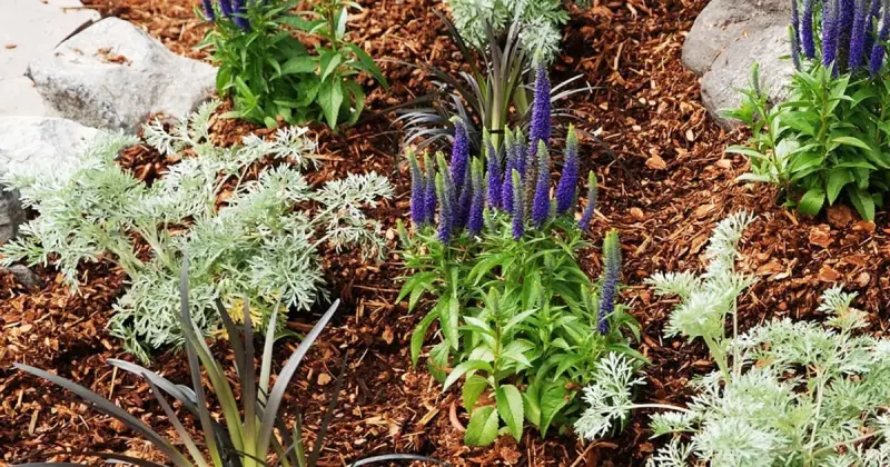 Cultivate Beautiful Flower Beds