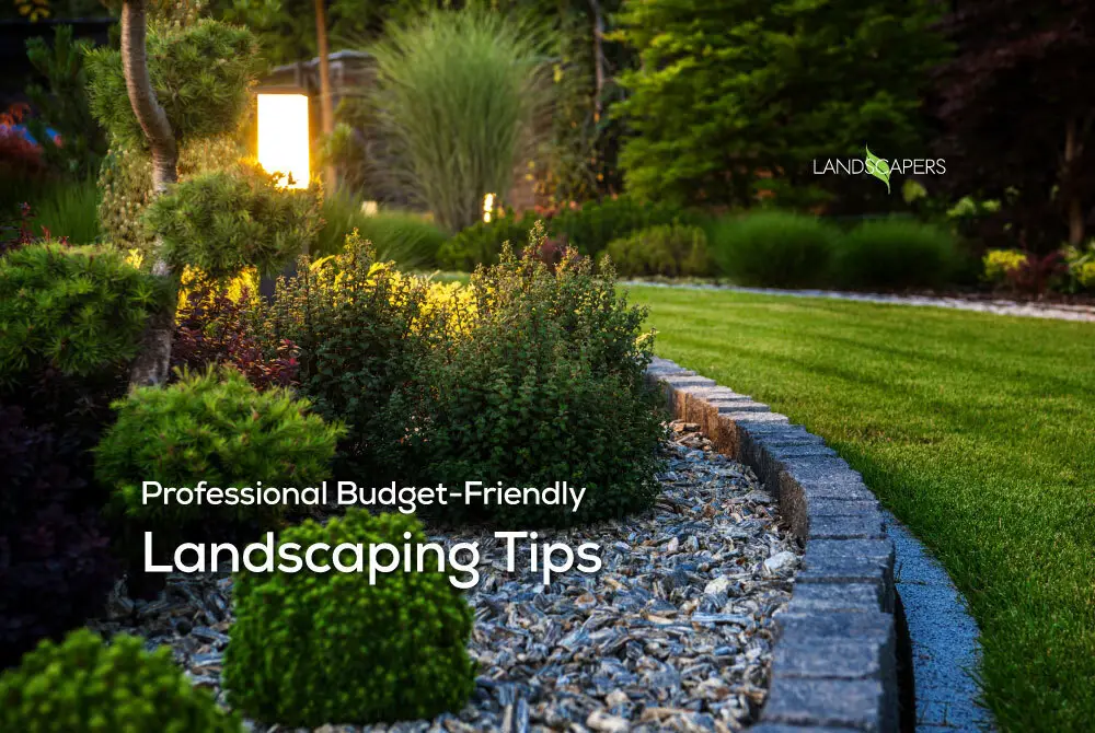 Budget-Friendly Landscaping Tips