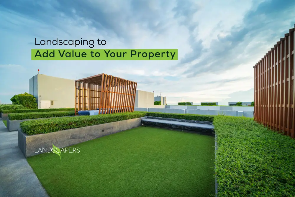 Landscaping to Add Value to Your Property