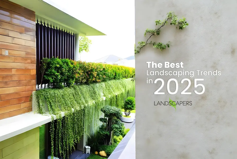 The Best Landscaping Trends