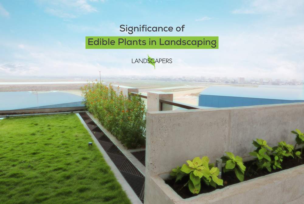 plants-in-landscaping