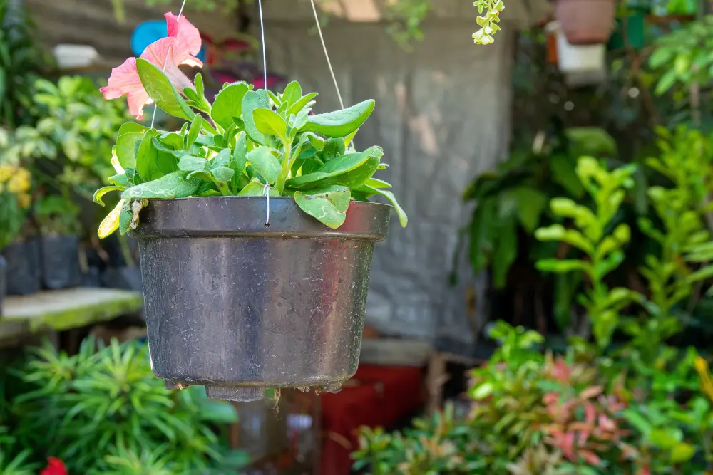 modern rooftop landscaping ideas