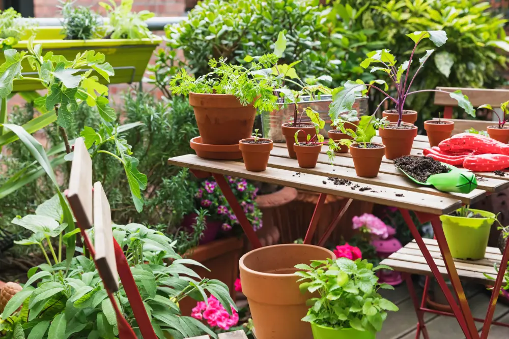 balcony landscaping