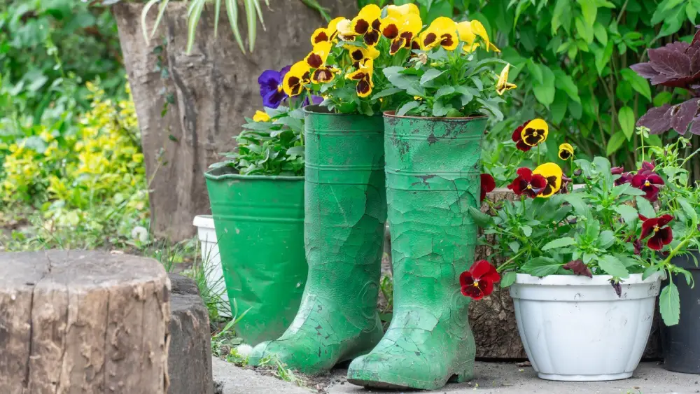 Creative Landscaping
