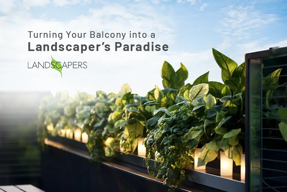 turning-your-balcony-into-landscaper’s-aradise Turning Your Balcony into a Landscaper’s Paradise