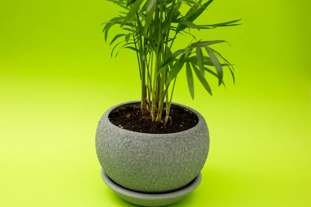 Green Flower Gray Pot
