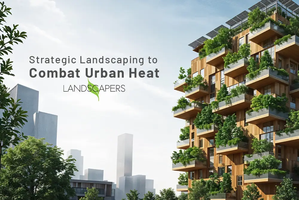 strategic-landscaping-to-combat-urban-heat-in-dhaka Strategic Landscaping to Combat Urban Heat in Dhaka