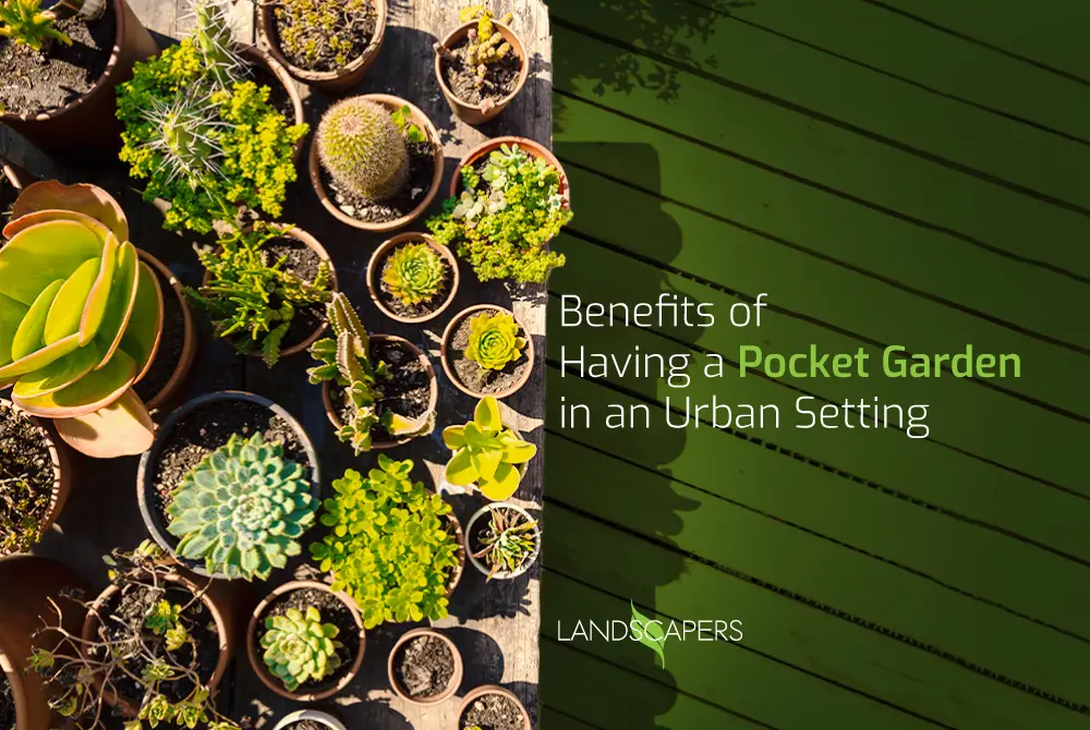 benefits-of-having-a-pocket-garden-in-an-urban-home-office Benefits of Having a Pocket Garden in an Urban Home/ Office