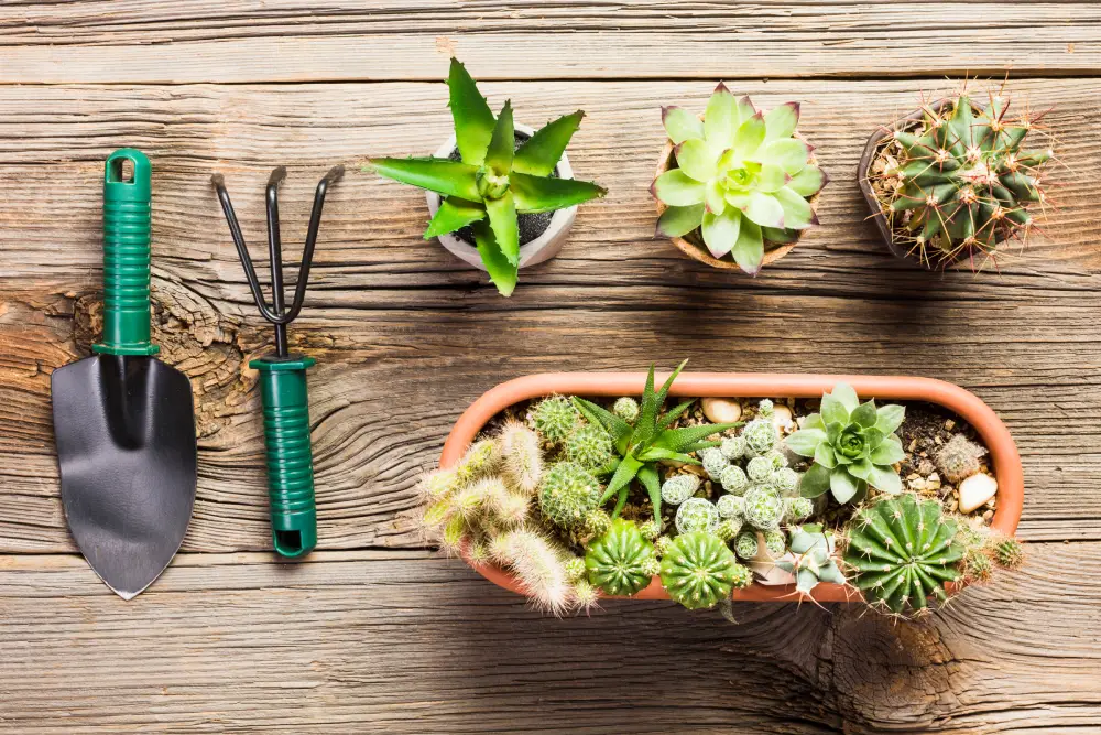 Top view gardening tools wooden floor