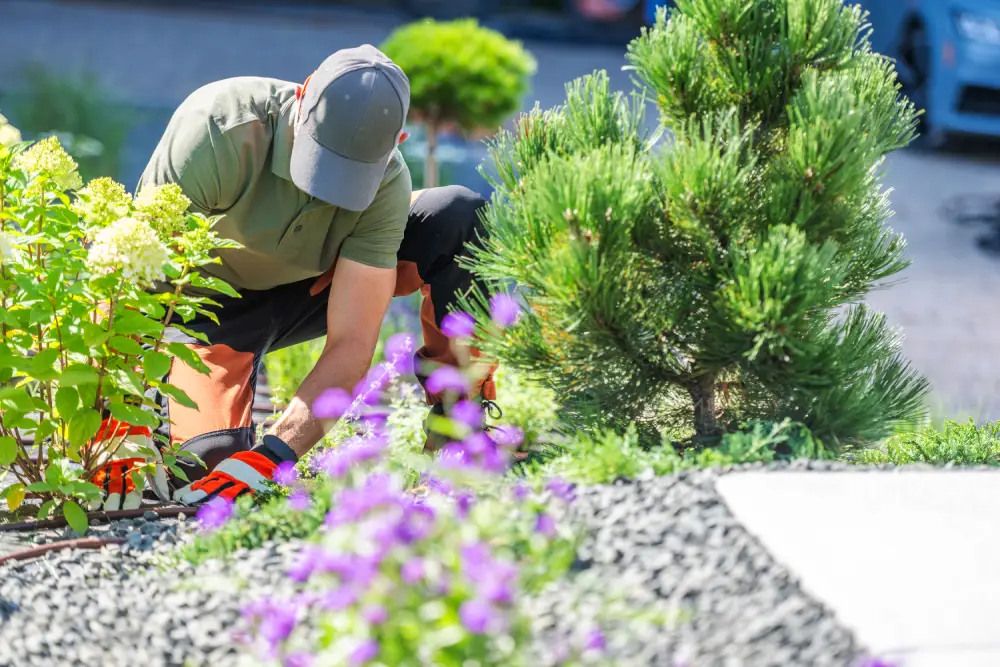 man-gardening-colorful-landscape-sunny-day