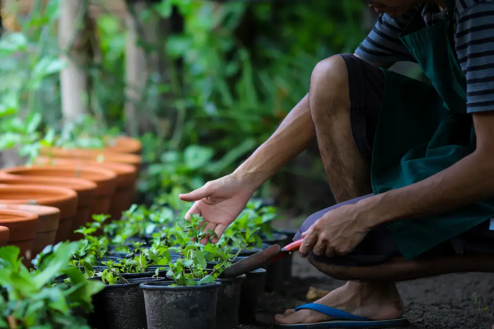 midsection man holding potted plant