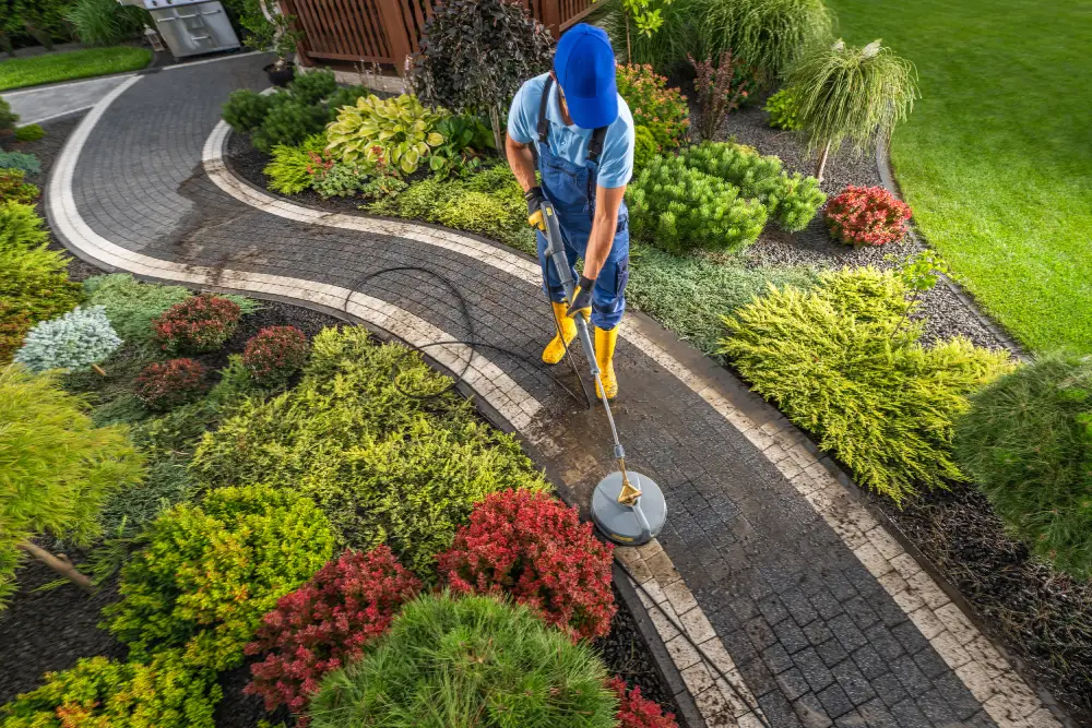 professional gardener using pressure washer paved path surrounded by vibrant plants residential yard