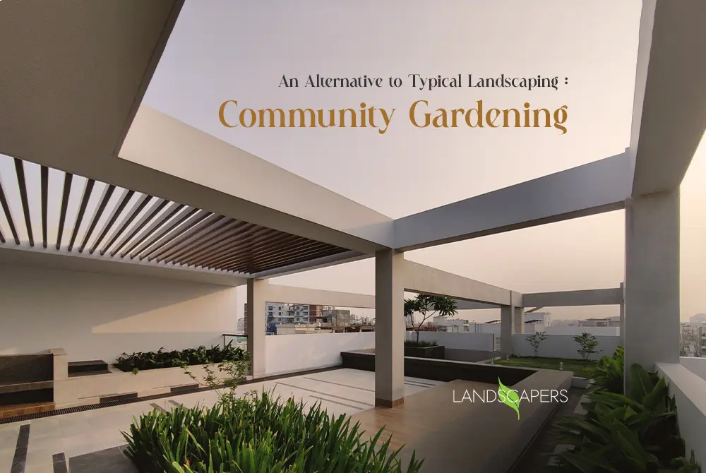 community-gardening-alternative-to-typical-landscaping Community Gardening Alternative to Typical Landscaping