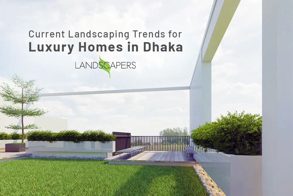 Current Landscaping Trends for Luxury Homes in Dhaka