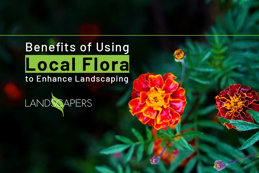 Benefits of Using Local Flora to Enhance Landscaping