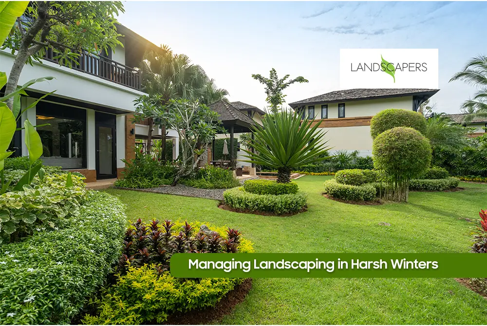 Managing Landscaping in Harsh Winters