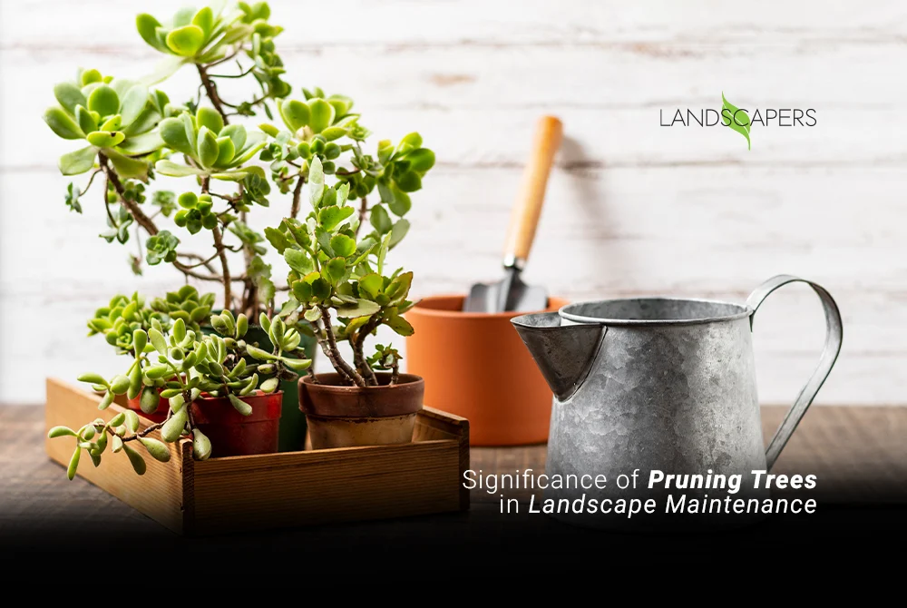 Significance of Pruning Trees in Landscape Maintenance