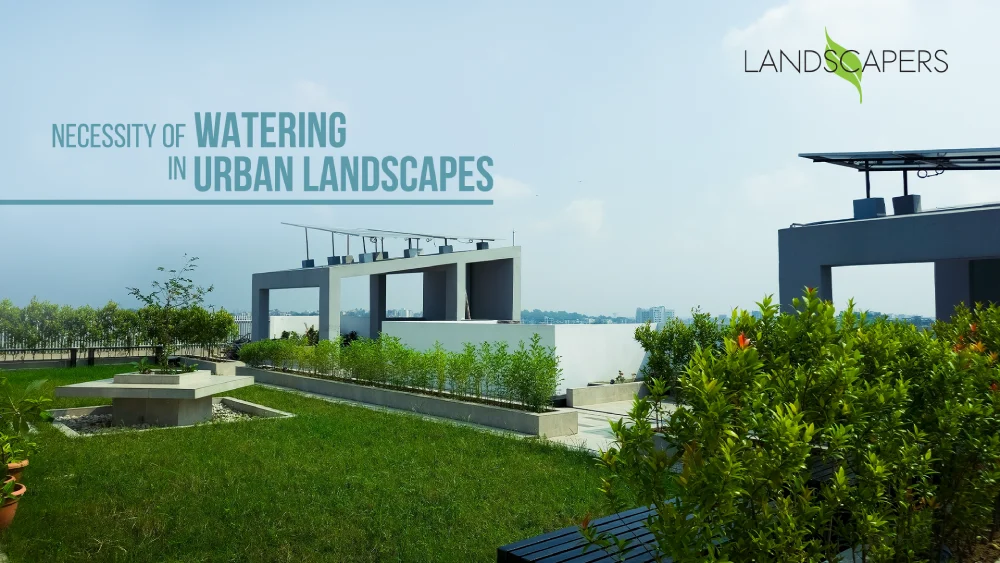 Cinematic view of a lush, well-maintained urban landscape featuring a modern irrigation system, highlighting the necessity of proper watering.